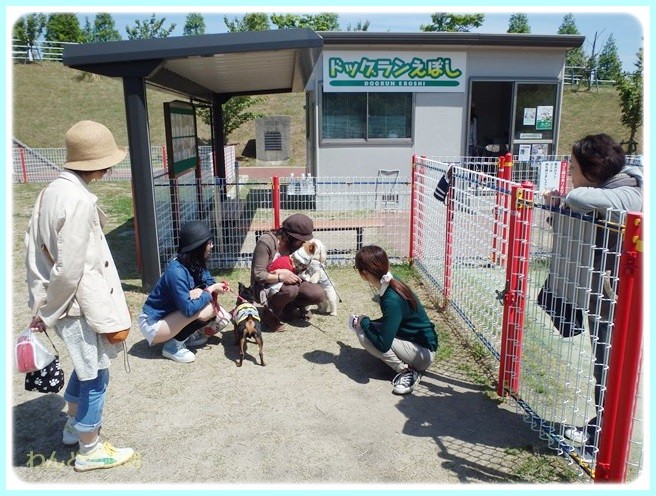 f:id:yasukazu01:20140516223633j:image f:id:yasukazu01:20140516223633j:image