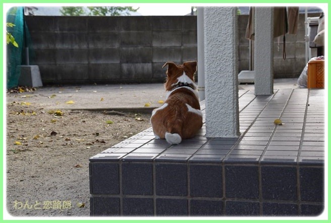 f:id:yasukazu01:20140523222302j:image