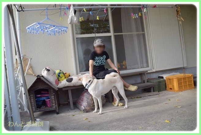 f:id:yasukazu01:20140523222304j:image