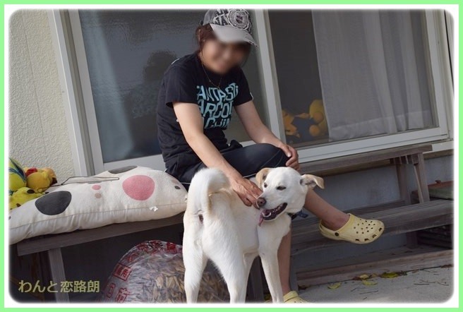f:id:yasukazu01:20140523222305j:image