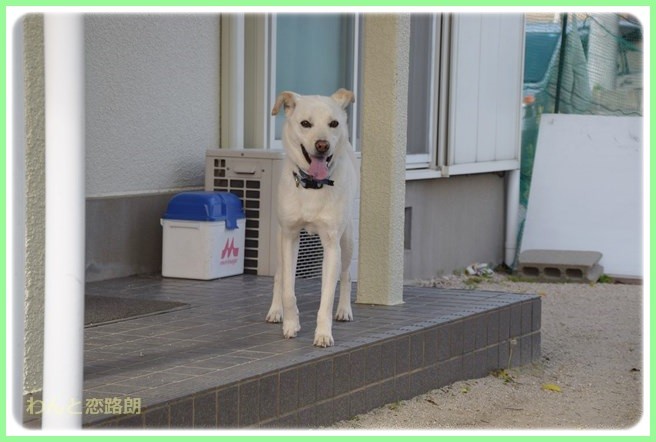 f:id:yasukazu01:20140523222306j:image