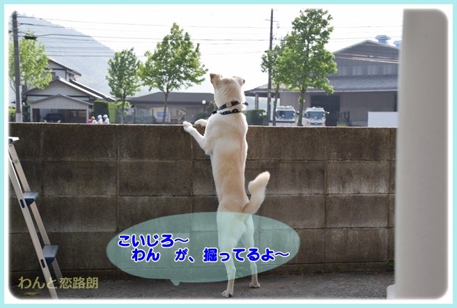 f:id:yasukazu01:20140602221006j:image f:id:yasukazu01:20140602221006j:image