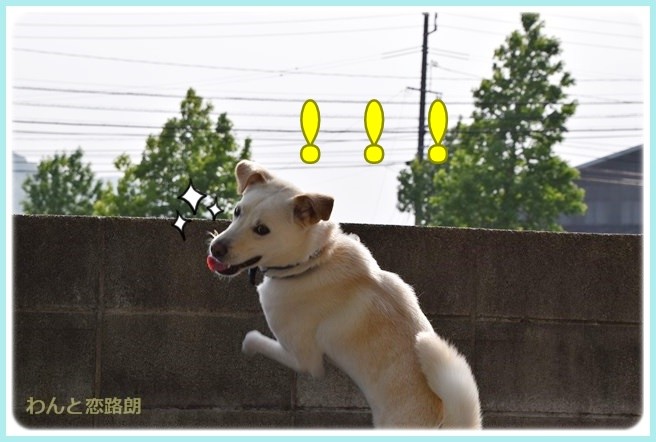f:id:yasukazu01:20140602221007j:image f:id:yasukazu01:20140602221007j:image