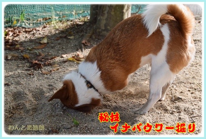 f:id:yasukazu01:20140602221008j:image f:id:yasukazu01:20140602221008j:image