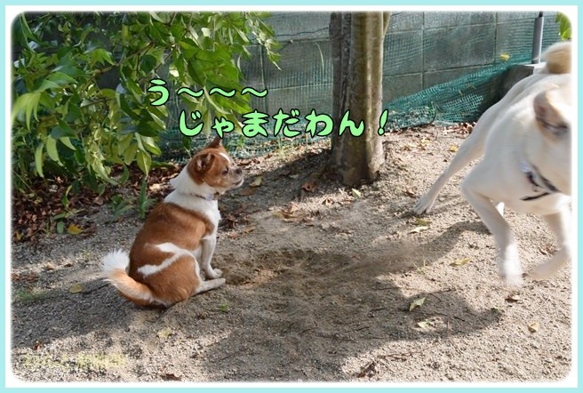 f:id:yasukazu01:20140602221009j:image f:id:yasukazu01:20140602221009j:image