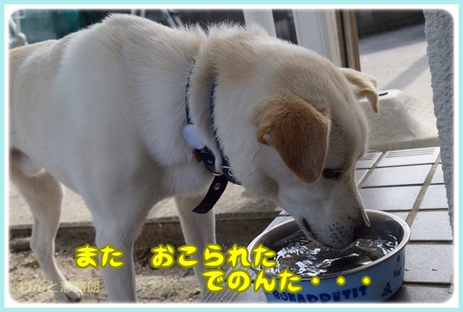 f:id:yasukazu01:20140602221010j:image f:id:yasukazu01:20140602221010j:image