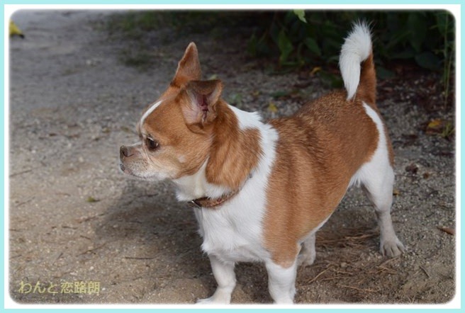 f:id:yasukazu01:20140602221013j:image f:id:yasukazu01:20140602221013j:image