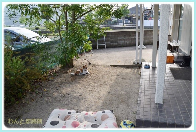 f:id:yasukazu01:20140602221014j:image f:id:yasukazu01:20140602221014j:image
