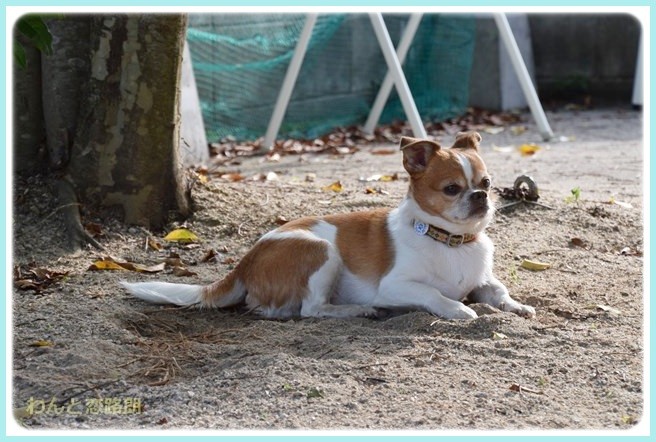 f:id:yasukazu01:20140602221015j:image f:id:yasukazu01:20140602221015j:image