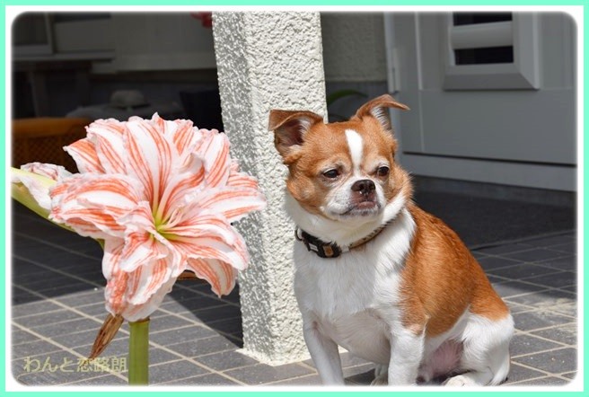 f:id:yasukazu01:20140614202705j:image f:id:yasukazu01:20140614202705j:image