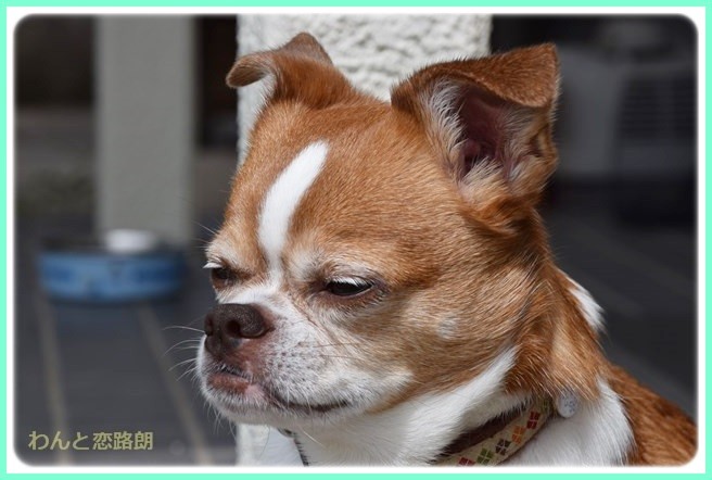f:id:yasukazu01:20140614202706j:image f:id:yasukazu01:20140614202706j:image