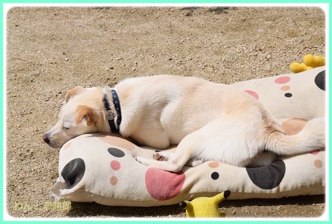 f:id:yasukazu01:20140614203637j:image f:id:yasukazu01:20140614203637j:image