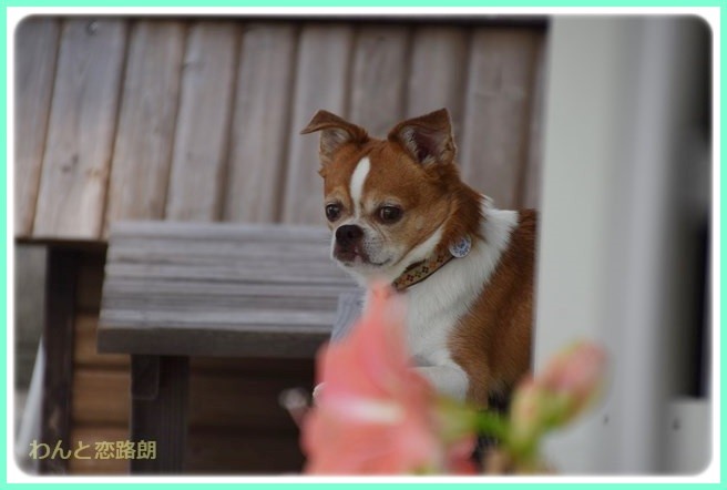 f:id:yasukazu01:20140614204049j:image f:id:yasukazu01:20140614204049j:image