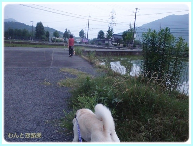 f:id:yasukazu01:20140629203412j:image