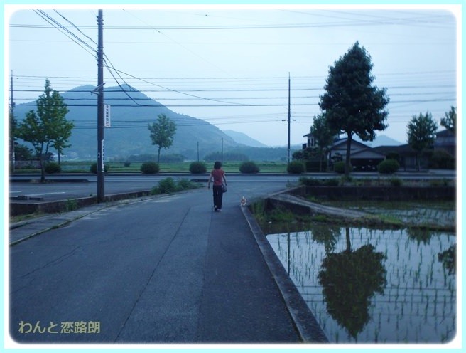 f:id:yasukazu01:20140629203413j:image