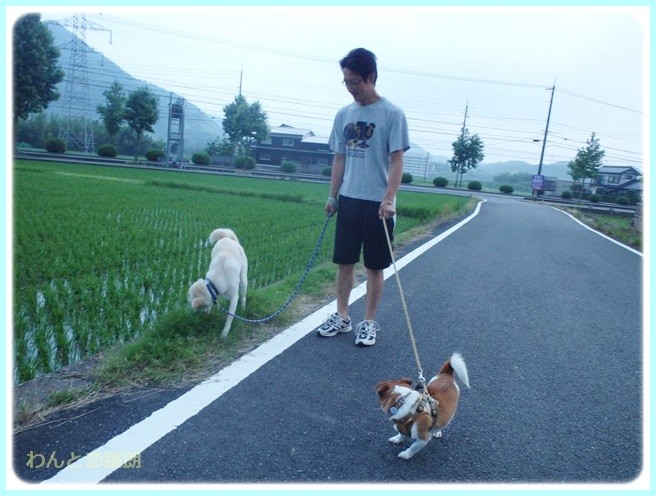 f:id:yasukazu01:20140629204731j:image