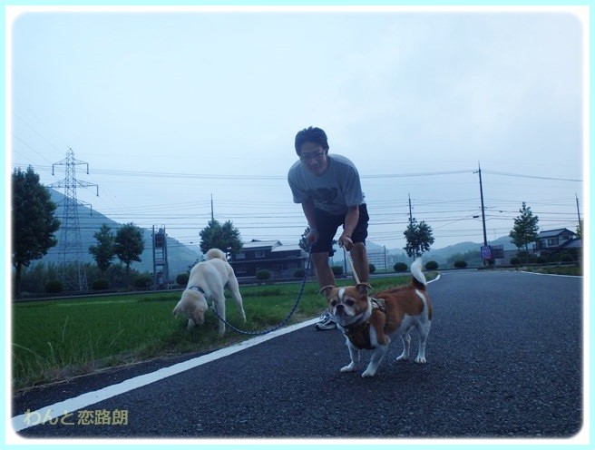 f:id:yasukazu01:20140629205046j:image