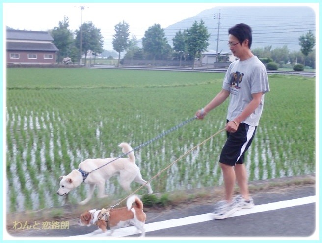 f:id:yasukazu01:20140629205047j:image