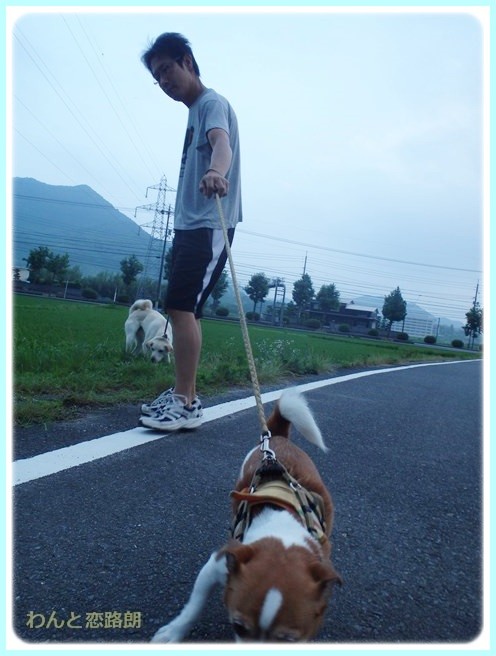 f:id:yasukazu01:20140629205541j:image