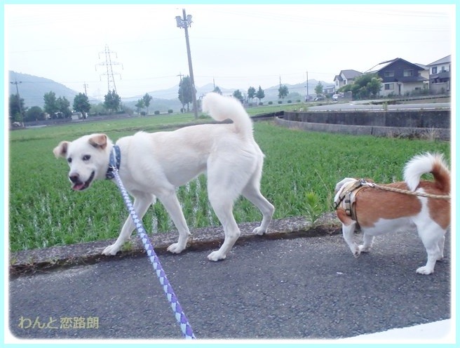 f:id:yasukazu01:20140629205932j:image