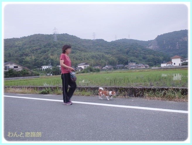 f:id:yasukazu01:20140629205933j:image
