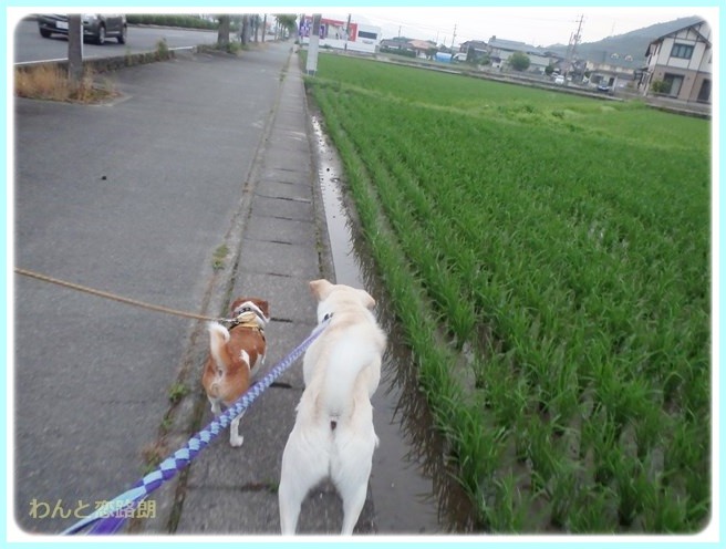 f:id:yasukazu01:20140629205934j:image