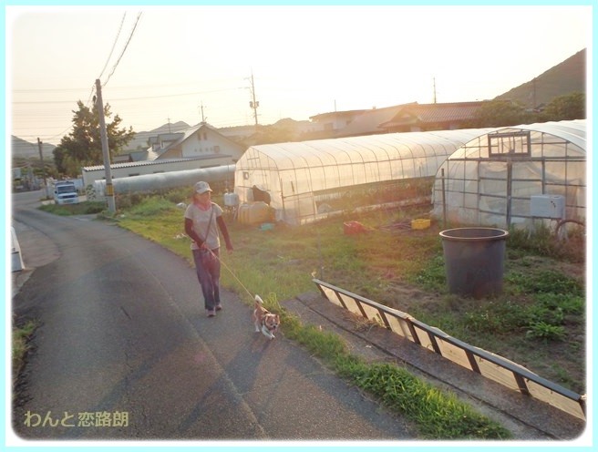 f:id:yasukazu01:20140701222846j:image