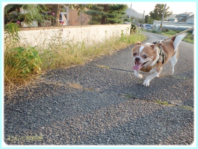 f:id:yasukazu01:20140701222847j:image