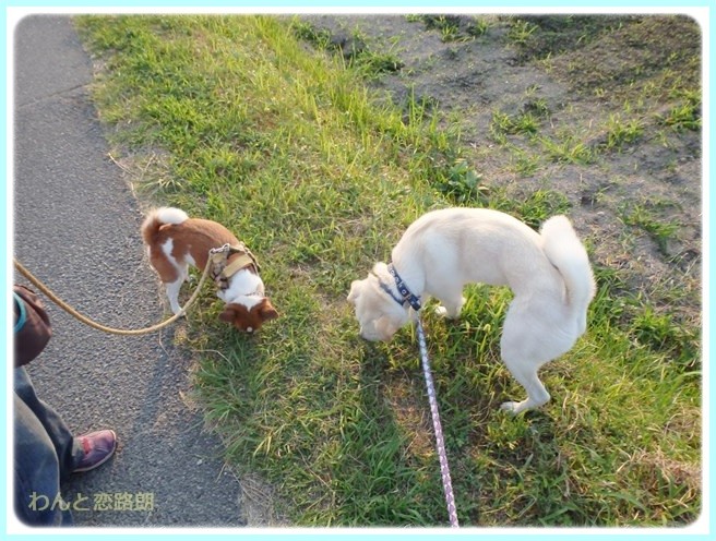 f:id:yasukazu01:20140701222849j:image