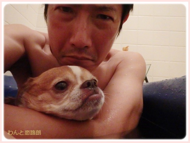 f:id:yasukazu01:20140705222848j:image