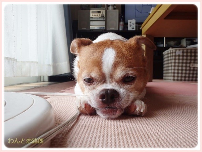 f:id:yasukazu01:20140714223344j:image
