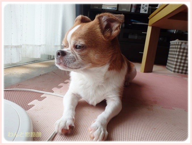 f:id:yasukazu01:20140714223449j:image