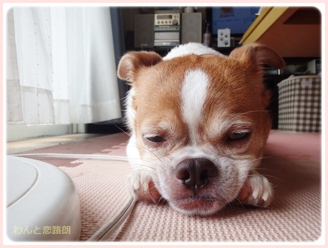 f:id:yasukazu01:20140714223544j:image