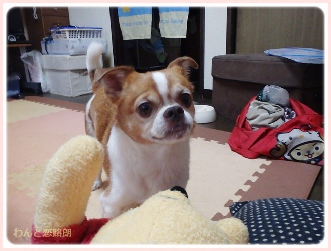 f:id:yasukazu01:20140715224817j:image