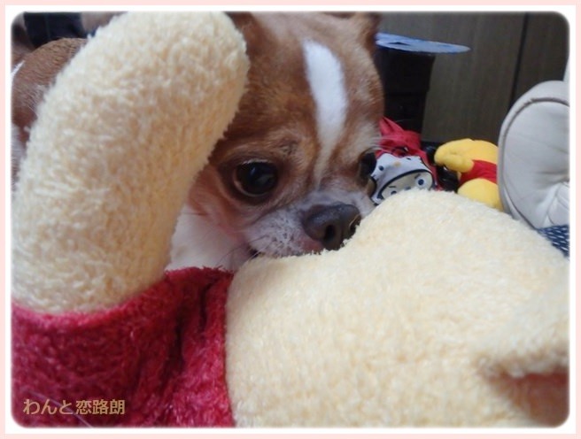 f:id:yasukazu01:20140715224855j:image