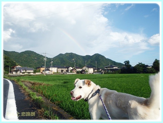 f:id:yasukazu01:20140721221145j:image