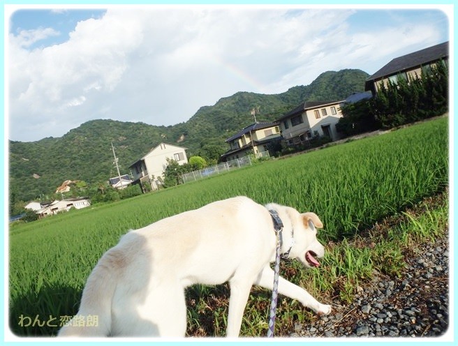 f:id:yasukazu01:20140721221713j:image