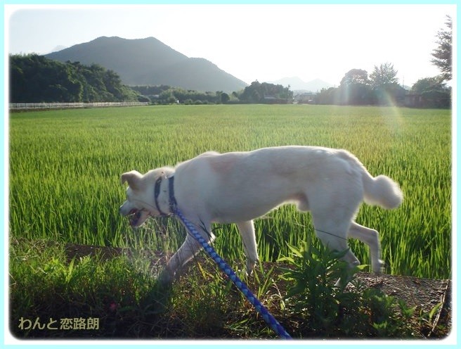 f:id:yasukazu01:20140721221854j:image