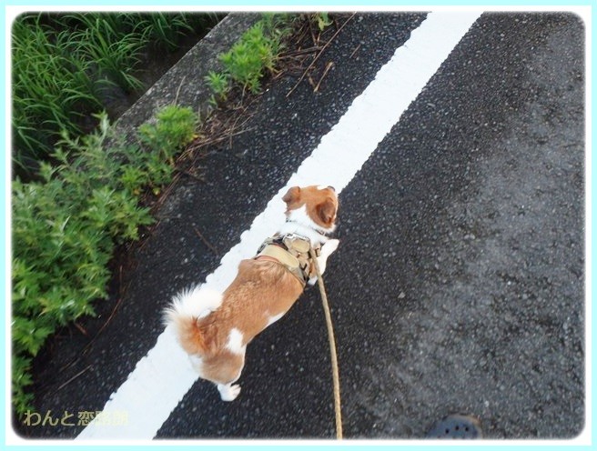 f:id:yasukazu01:20140721221950j:image