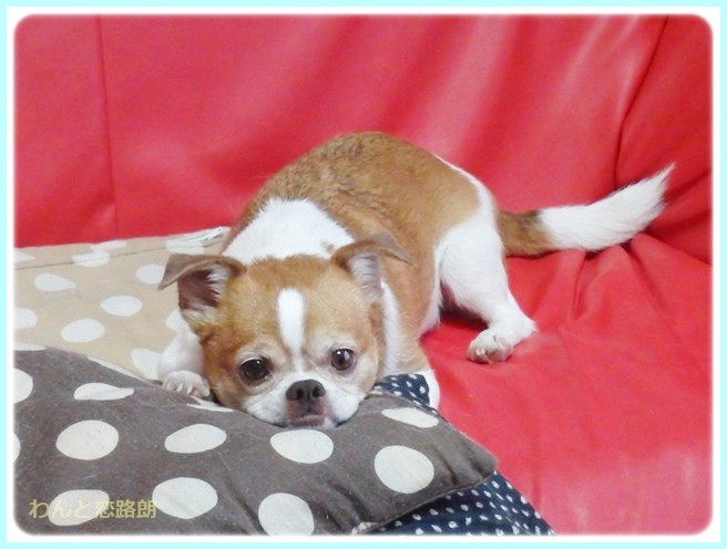 f:id:yasukazu01:20140721222221j:image