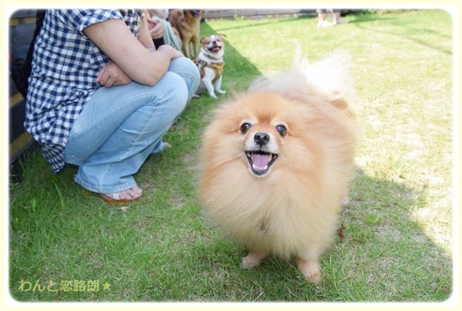 f:id:yasukazu01:20140804200832j:image f:id:yasukazu01:20140804200832j:image