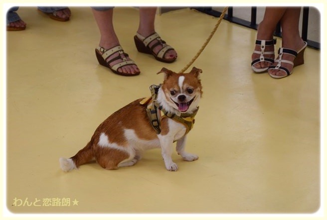 f:id:yasukazu01:20140804202315j:image f:id:yasukazu01:20140804202315j:image