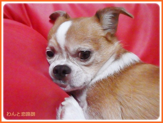 f:id:yasukazu01:20140805182006j:image
