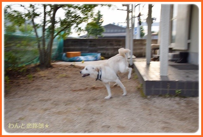 20140807221917