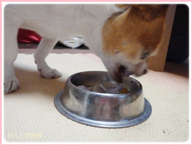 f:id:yasukazu01:20140809211601j:image f:id:yasukazu01:20140809211601j:image