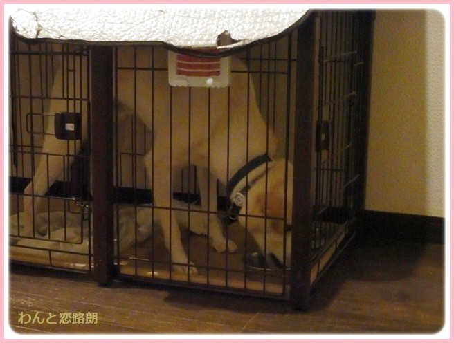 f:id:yasukazu01:20140809211903j:image f:id:yasukazu01:20140809211903j:image