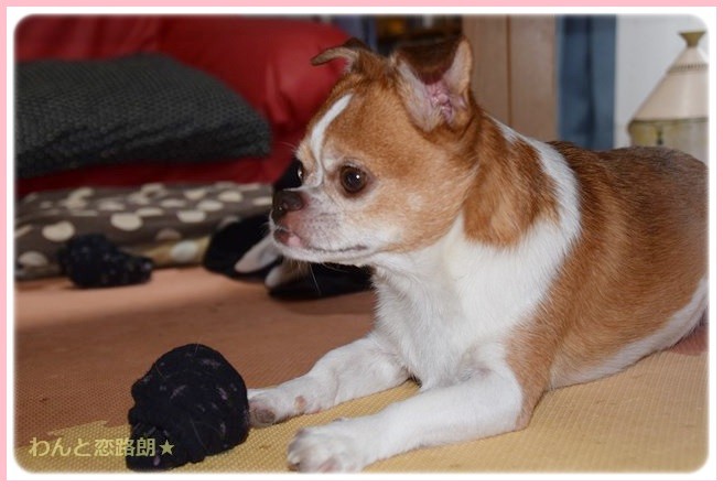 f:id:yasukazu01:20140809212155j:image f:id:yasukazu01:20140809212155j:image