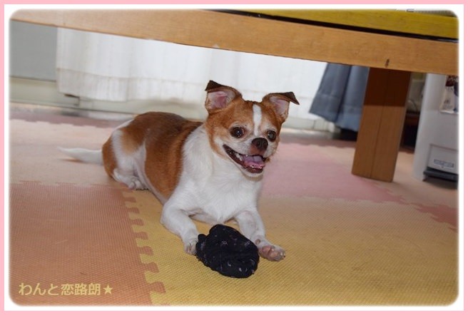 f:id:yasukazu01:20140809212230j:image f:id:yasukazu01:20140809212230j:image