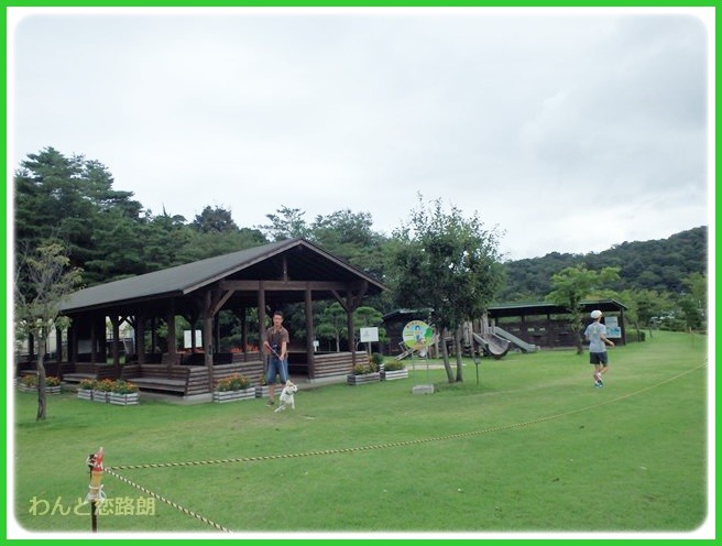 f:id:yasukazu01:20140817204423j:image f:id:yasukazu01:20140817204423j:image