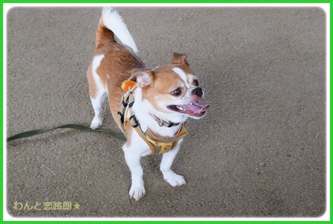 f:id:yasukazu01:20140817204758j:image f:id:yasukazu01:20140817204758j:image